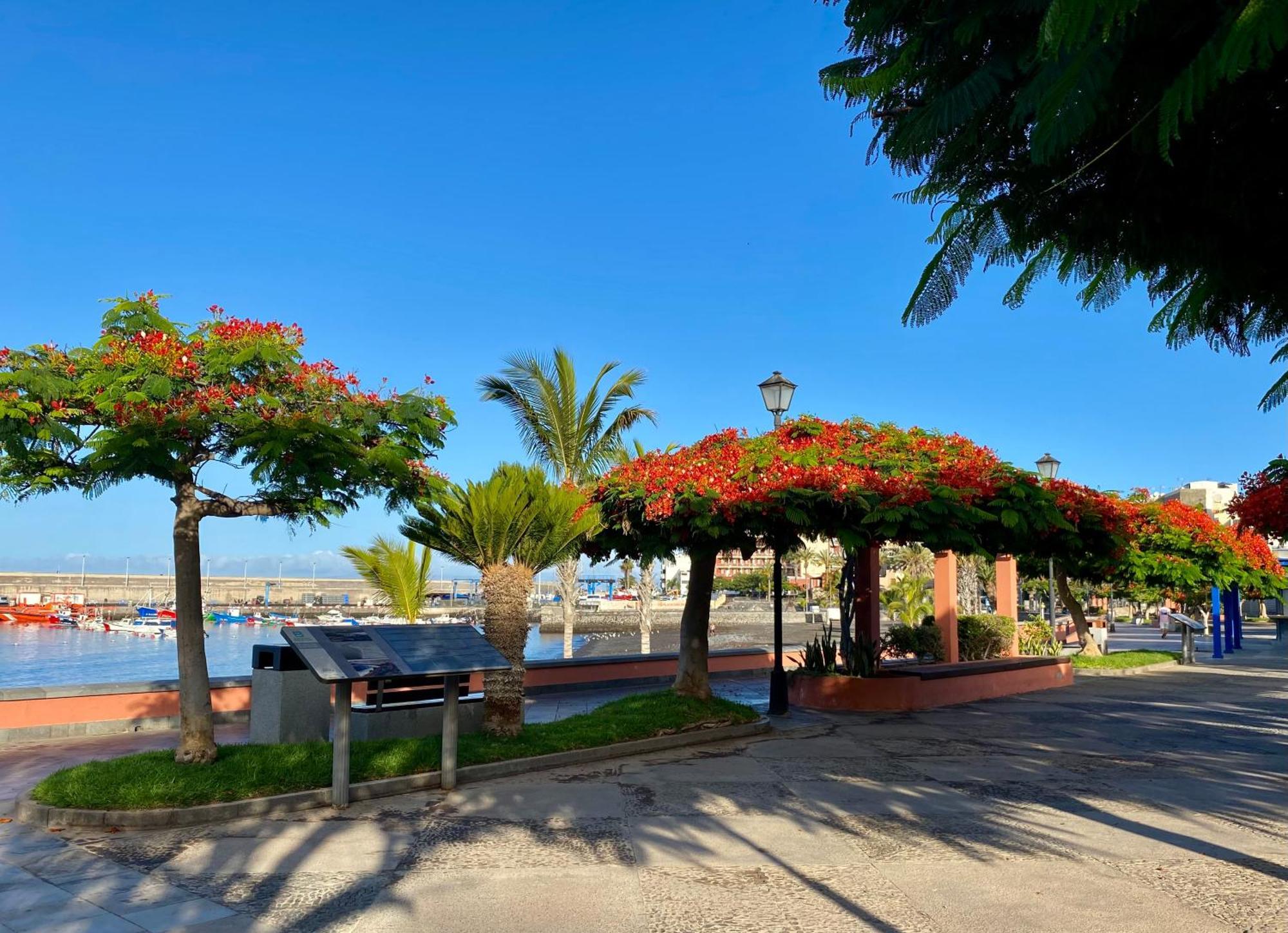 Casa Antonio - Apartamento Luna Playa de San Juan  Zewnętrze zdjęcie