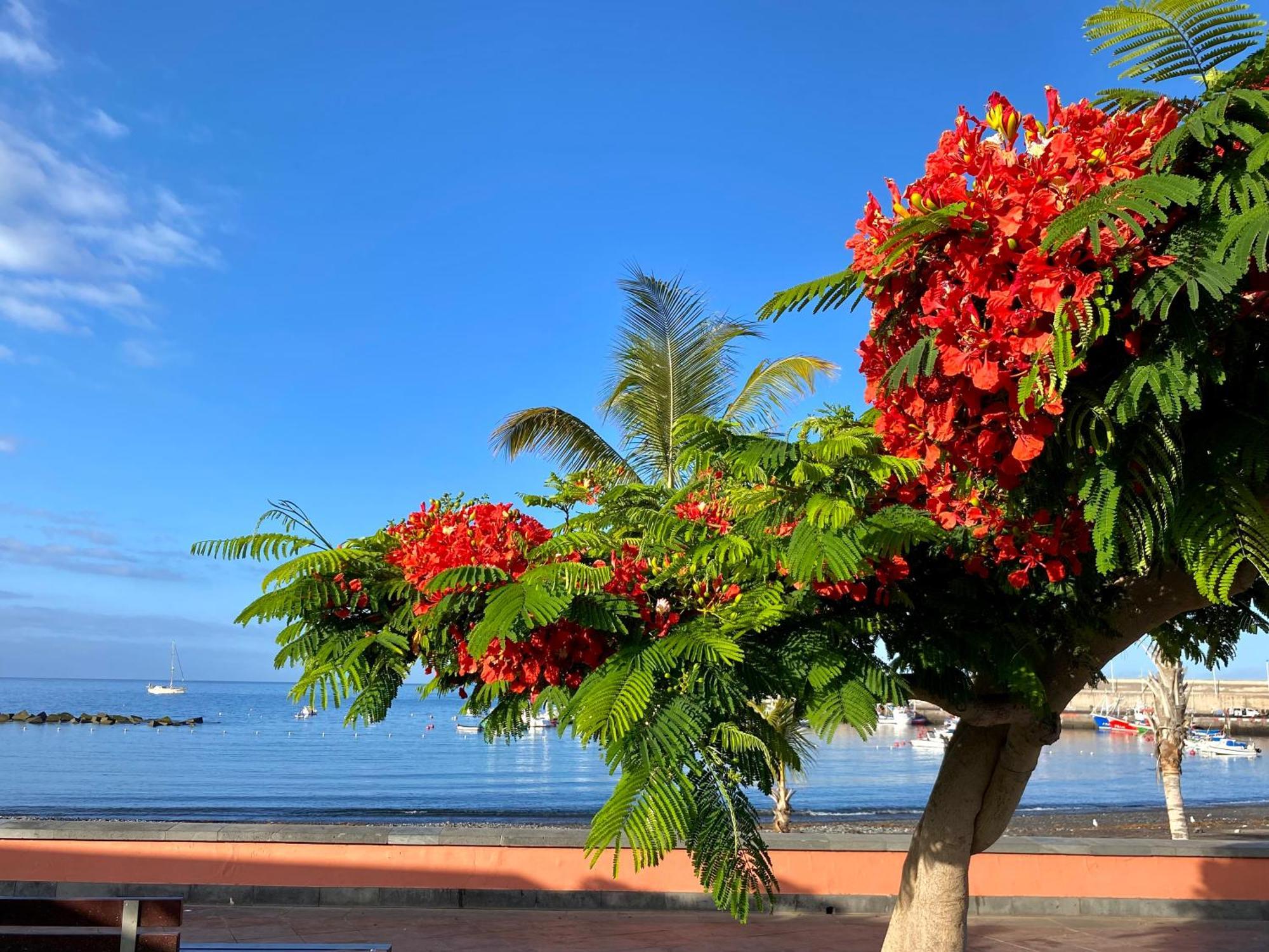 Casa Antonio - Apartamento Luna Playa de San Juan  Zewnętrze zdjęcie